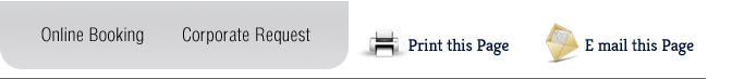 RITIKA TRANSPORT SOLUTIONS - Car Rentals